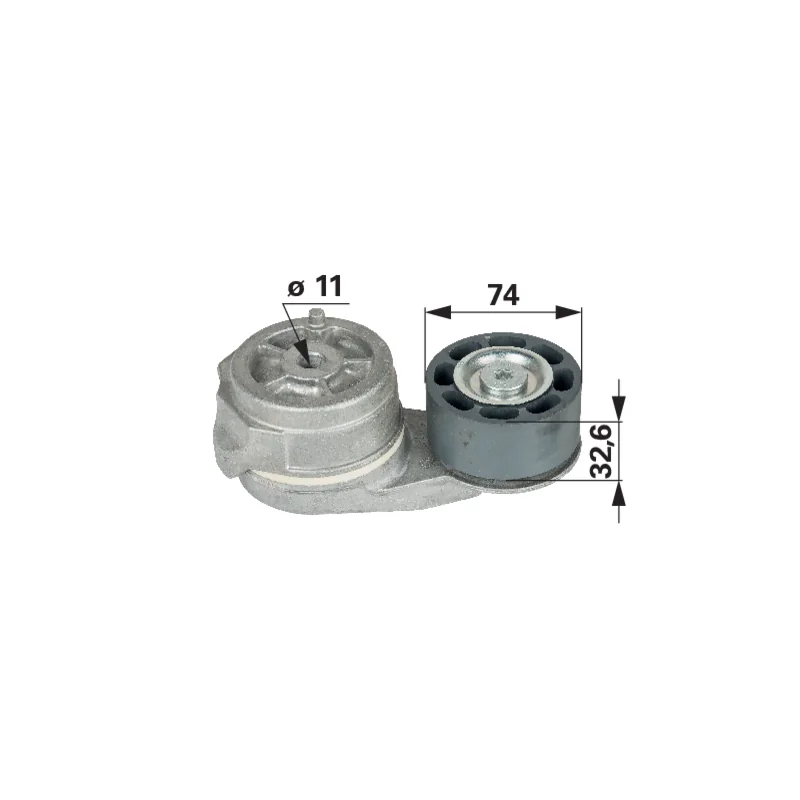 Ina - 0011380740 - Tendicinghia