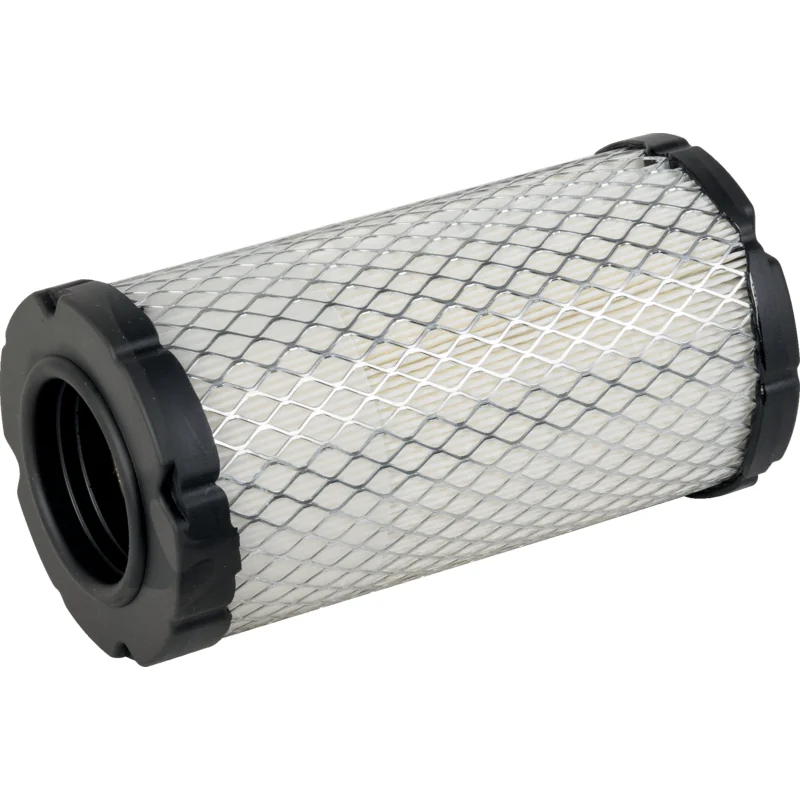 Mann - C 10 007 - Cartuccia principale filtro aria