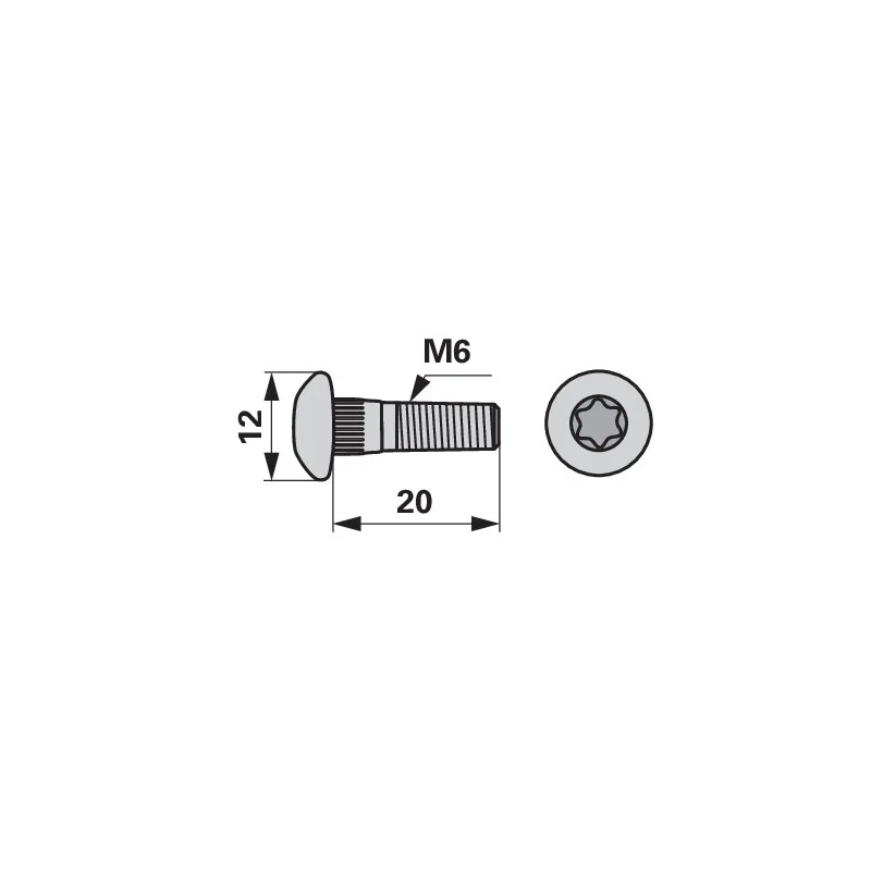 Radura - 14547.01 - Vite Torx
