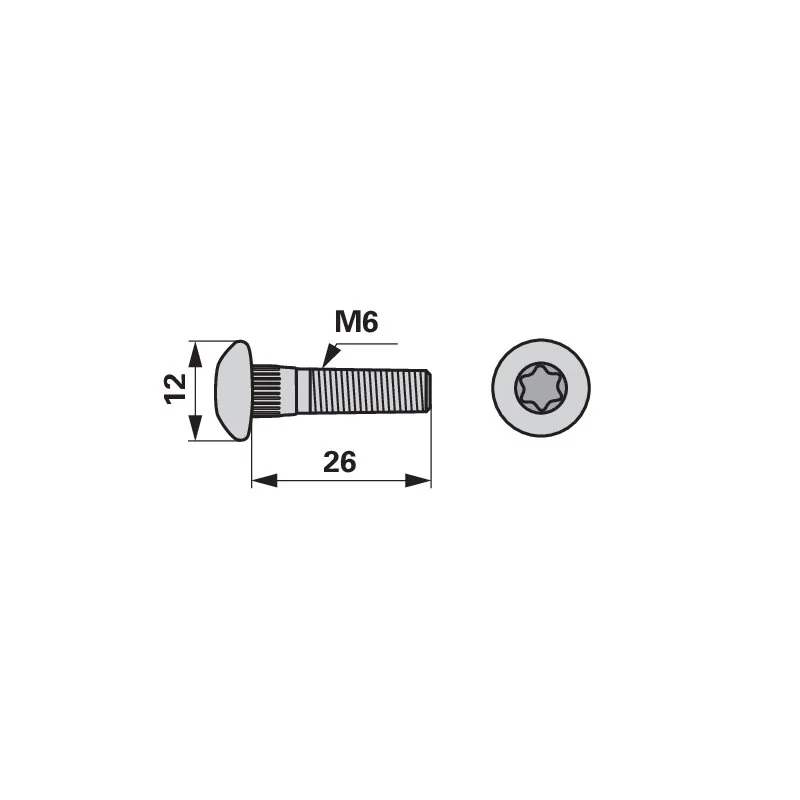 Radura - 14548 - Vite Torx