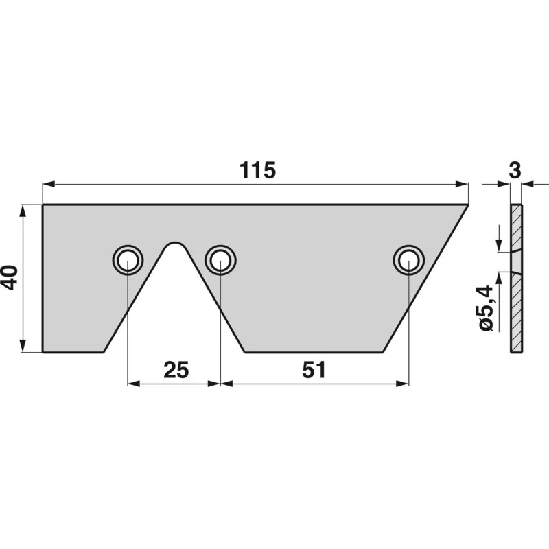 Rasspe - RS7563 - Piastra di pulizia