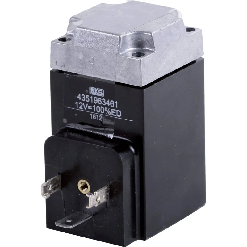 Rau - 00032951 - Elettromagnete