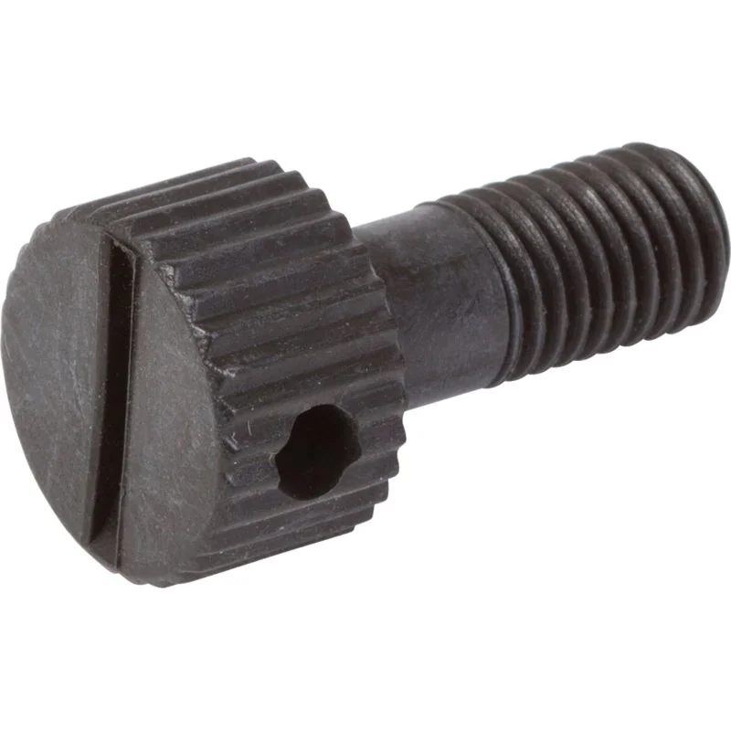 Rau - 00041227 - Vite di bloccaggio