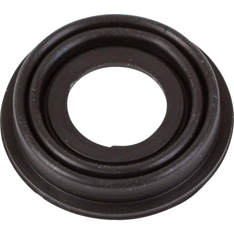 Rau - 00047229 - Membrana magnetica