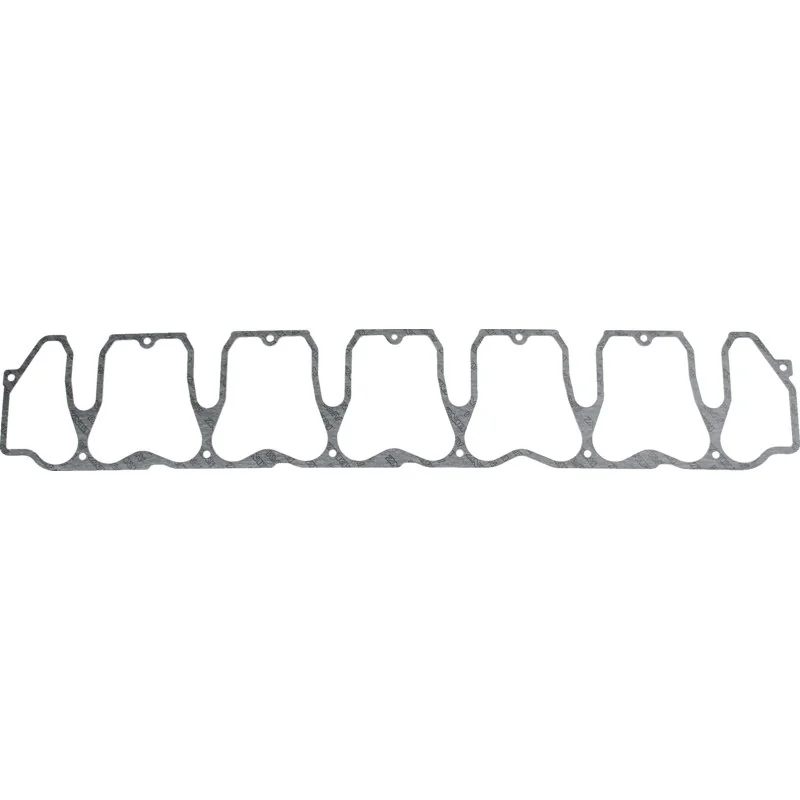 Reinz - 04205894 - Guarnizione coperchio valvole