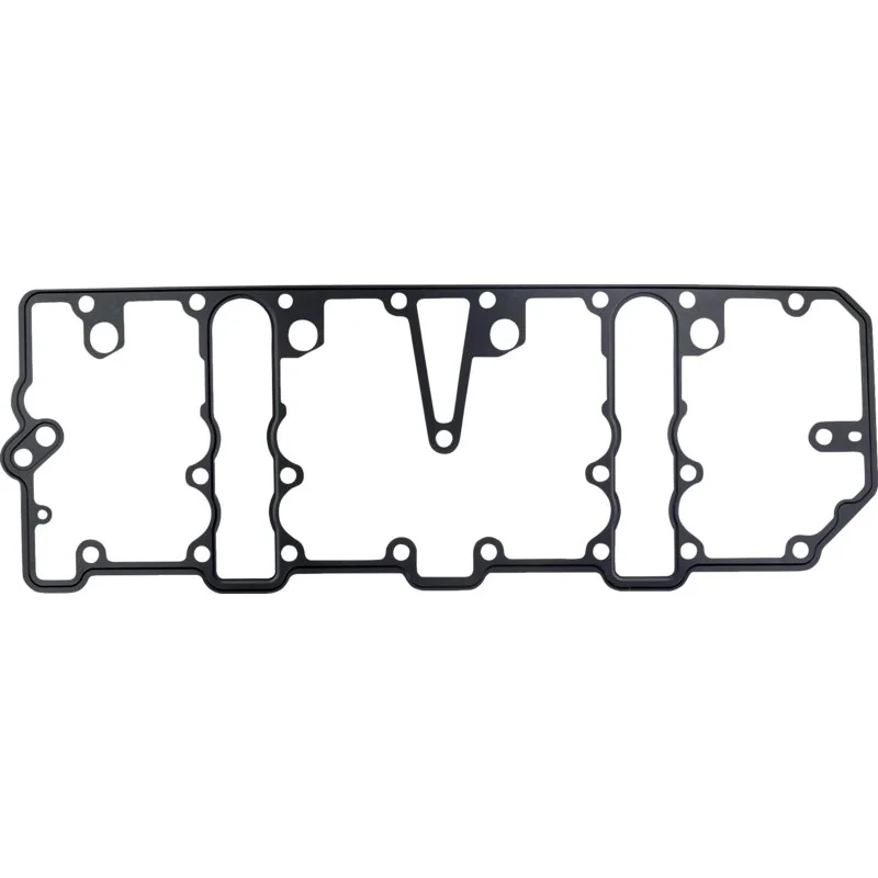Reinz - 04252217 - Guarnizione coperchio valvole