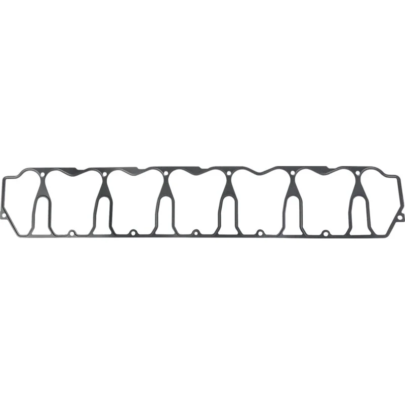 Reinz - 04284008 - Guarnizione coperchio valvole