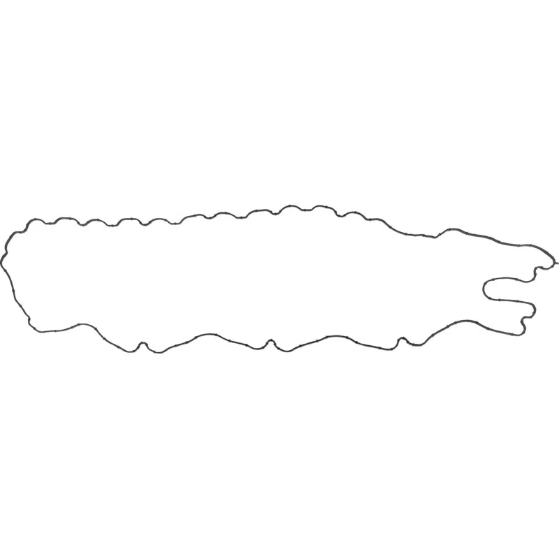 Reinz - 04291418 - Guarnizione coperchio valvole