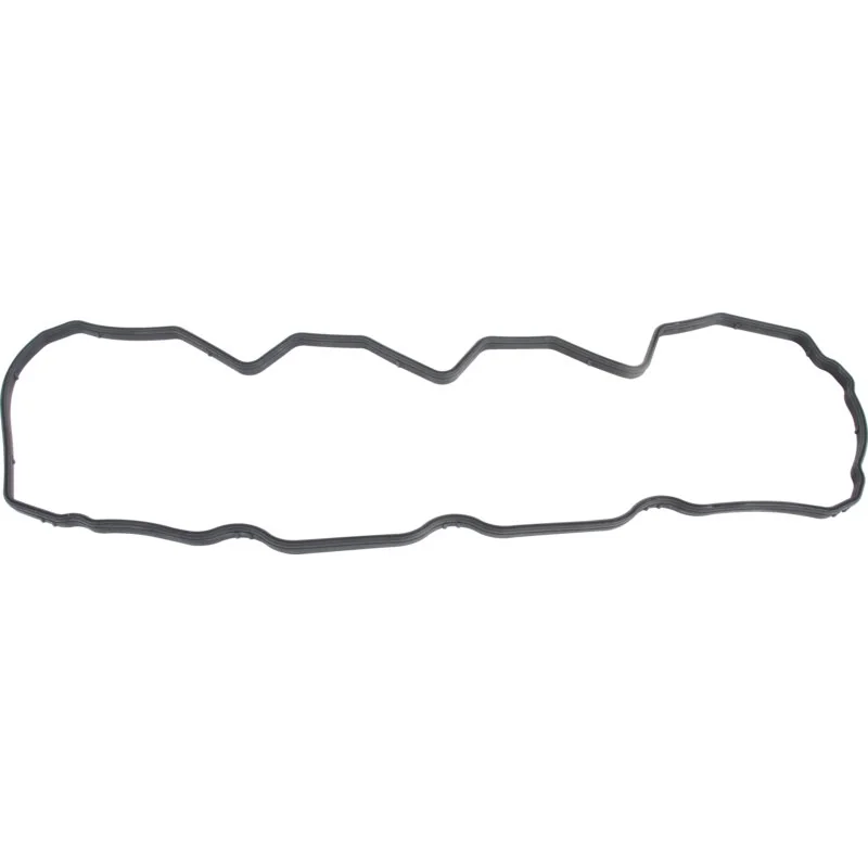 Reinz - 4899228 - Guarnizione coperchio valvole