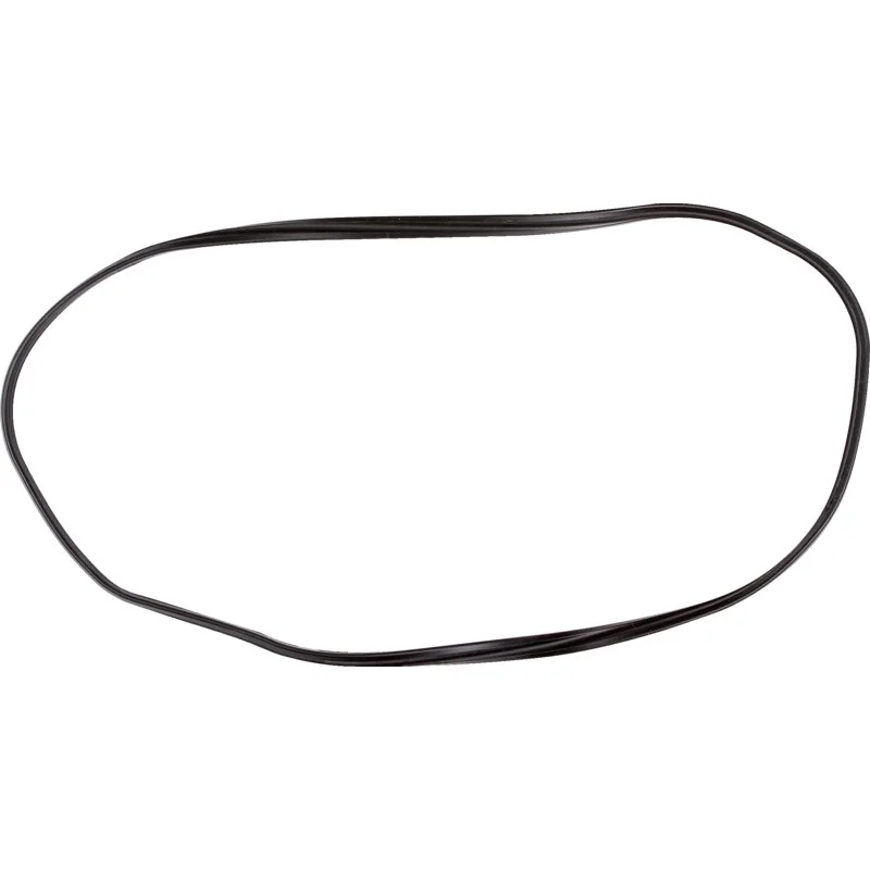 Reinz - 500301351 - Guarnizione coperchio valvole