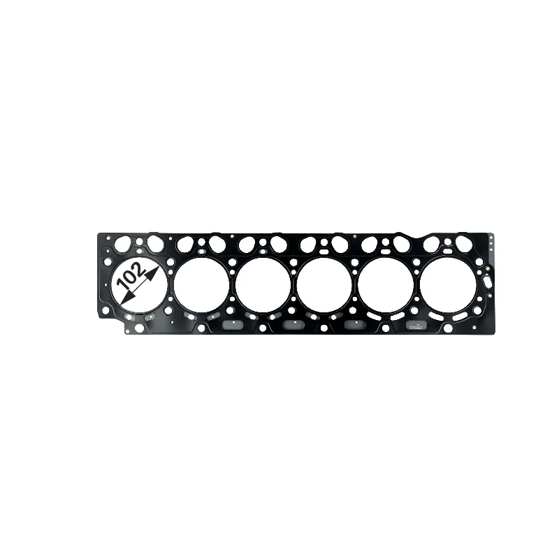 Reinz - F731200210010 - Guarnizione testata