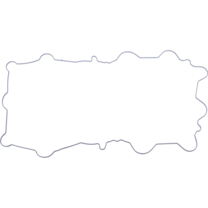 Reinz - R502598 - Guarnizione coperchio valvole
