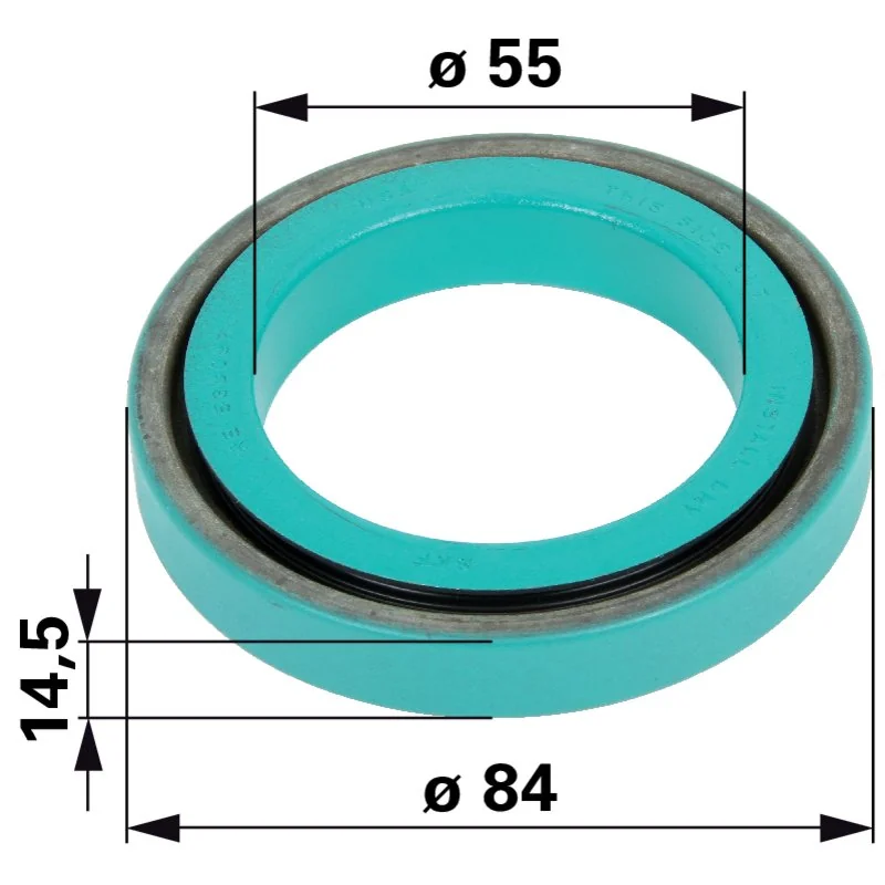 Reinz - RE538097 - Paraolio albero motore