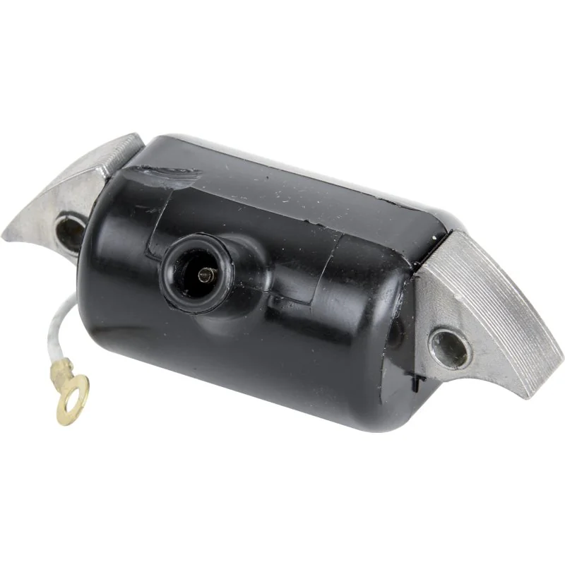 Rotax - 264335 - Ancora di accensione