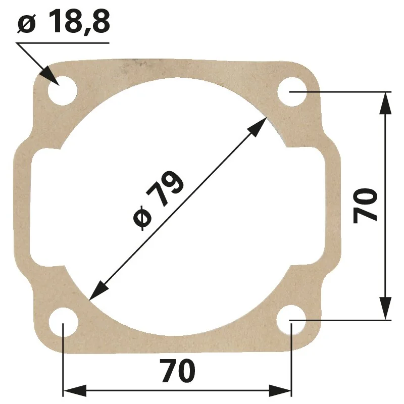 Rotax - 930555 - Guarnizione flangia cilindro