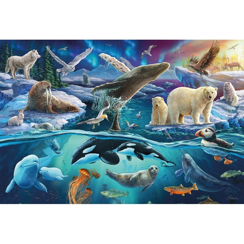 Schmidt Spiele - 56484 - Puzzle