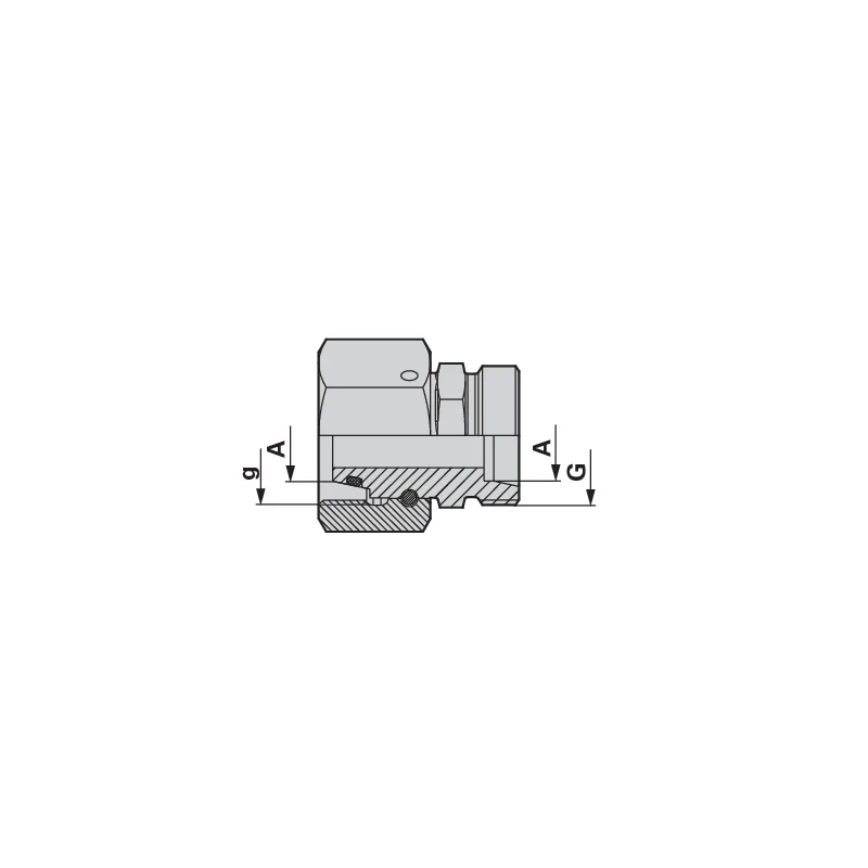 STAUFF - 20/20S - Hoses & Fittings