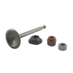 Briggs And Stratton - 594094 - Valvola di aspirazione