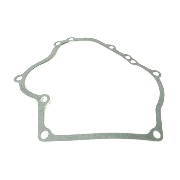 Briggs And Stratton - 710036 - Guarnizione flangia