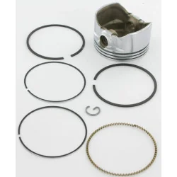 Briggs And Stratton - 793519 - Pistone Completo