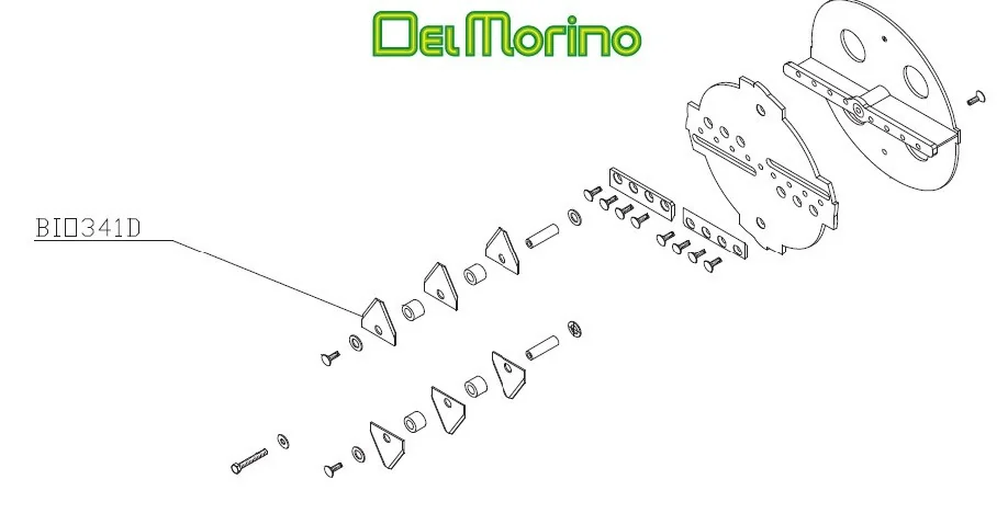 Del Morino - BIO341D - Sezione