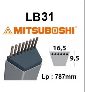 Mitsuboshi - LB31 - Cinghia