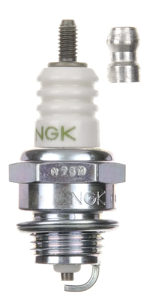NGK - BPM6Y - Candela Oliva Rimovibile Ut