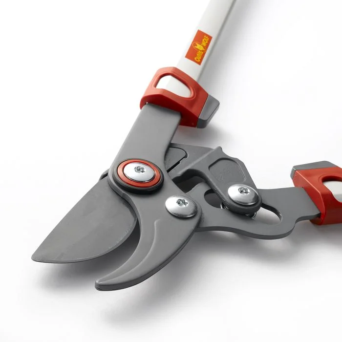 Outils Wolf - OS650 - Potatore Cut Free
