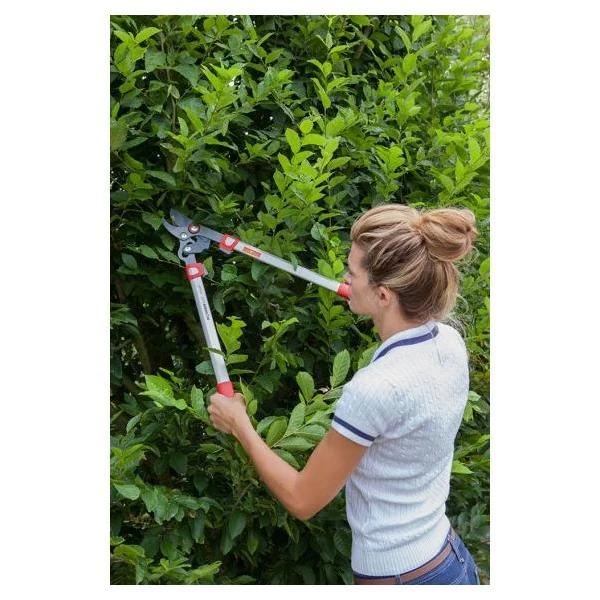 Outils Wolf - OS650 - Potatore Cut Free