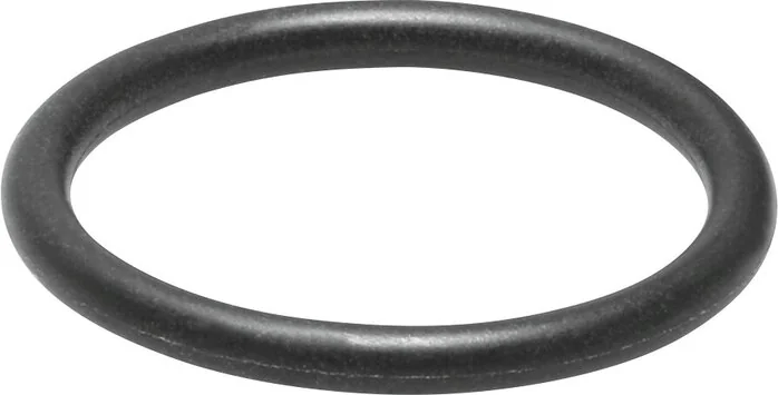 Festo - SASF-FW-S-E-8036907 - Guarnizione