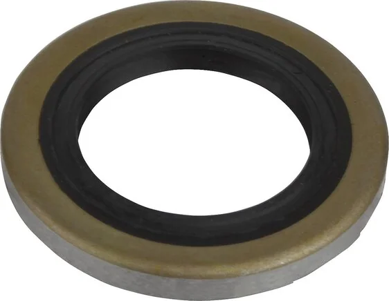 Norelem - 21560-160 - Guarnizione anteriore