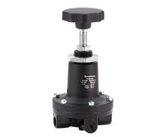 Norgren - 11-204-006 - Regolatore di pressione 40-16 G1/4