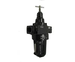 Norgren - B68G-8GT-MR3-RSN - Regolatore F 40My 0.7-17 G1