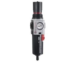 Norgren - B84G-6GT-QD3-RSG - Filtro regolatore Excelon Plus