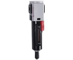 Norgren - F82G-2GN-AD1 - Filtro Excelon Plus