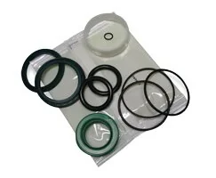 Norgren - QM/9175/00 - Set di guarnizioni