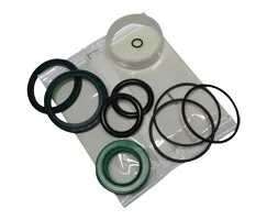 Norgren - QM/980/00 - Set di guarnizioni