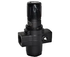 Norgren - R17-600-RNLG - Regolatore di pressione 0.3-8.6 G3/4