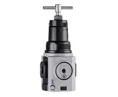 Norgren - R84G-3GT-RFN - Regolatore di pressione Excelon Plus