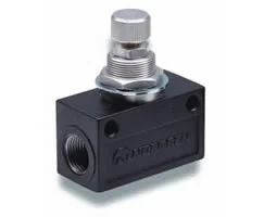 Norgren - T1000C4800 - Valvola di ritegno G1/2