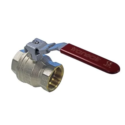 Parker - VR03 00 20 - Doppio femmina bloccabile da 2-1/2 pollici