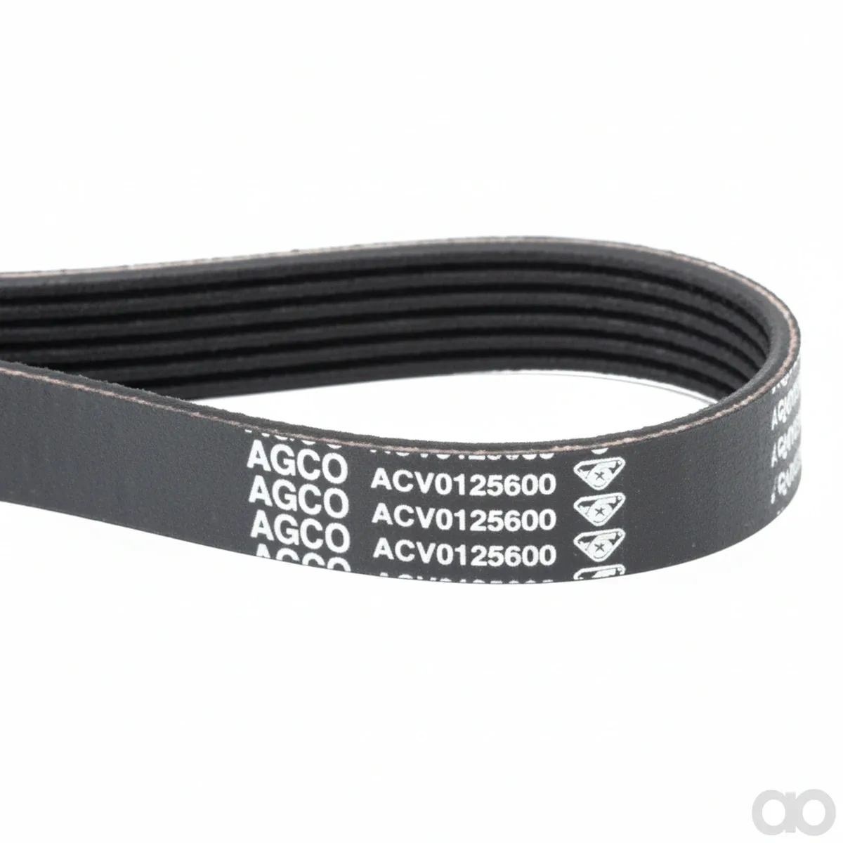 Massey Ferguson - ACV0125600 - Cingia di distribuzione, profilo PK6