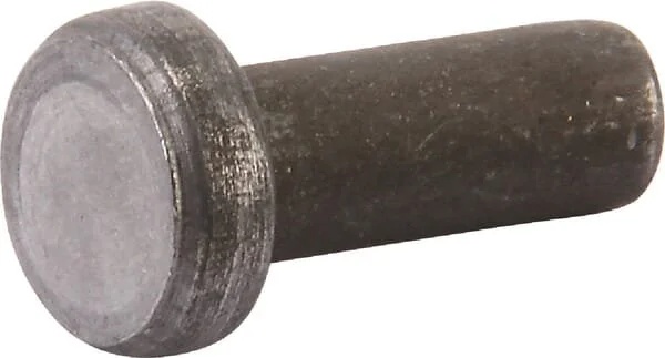 Agria - AGW07569 - Rivet speciale 5x16.5