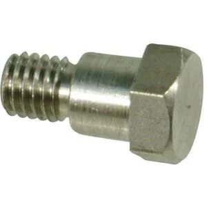 Annovi Reverberi - 800090 - Bullone di ritegno diaframma