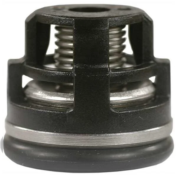 Annovi Reverberi - HD1702864 - Kit valvola (6 pezzi)