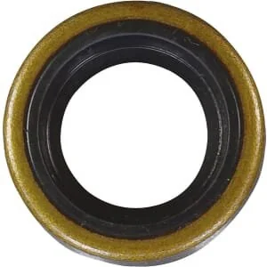 As Motor - E03109 - Paraolio 15x24x7