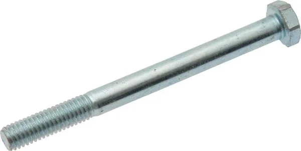 As Motor - G00009026 - Vite cerniera (2x)