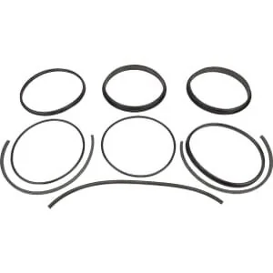 Battioni Pagani - 6080200352 - Kit Ricostruzione Guarnizione 8''BIDI