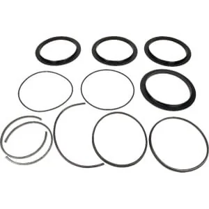 Battioni Pagani - 6080200353 - Kit Ricostruzione Guarnizione 10''BIDI