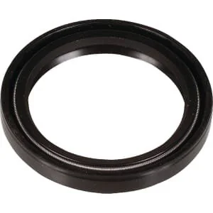 Bertolini - 802170002 - Guarnizione a V diametro 38x48mm